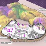 King Cake Headquarters New Orleans