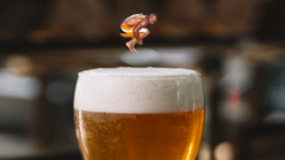 Alcohol sales soar in New Orleans after Drew Brees injured