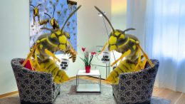 ACLU says Murder Hornets innocent until proven guilty like anyone else - Asian Giant Hornets - New Orleans news - Neutral Ground News