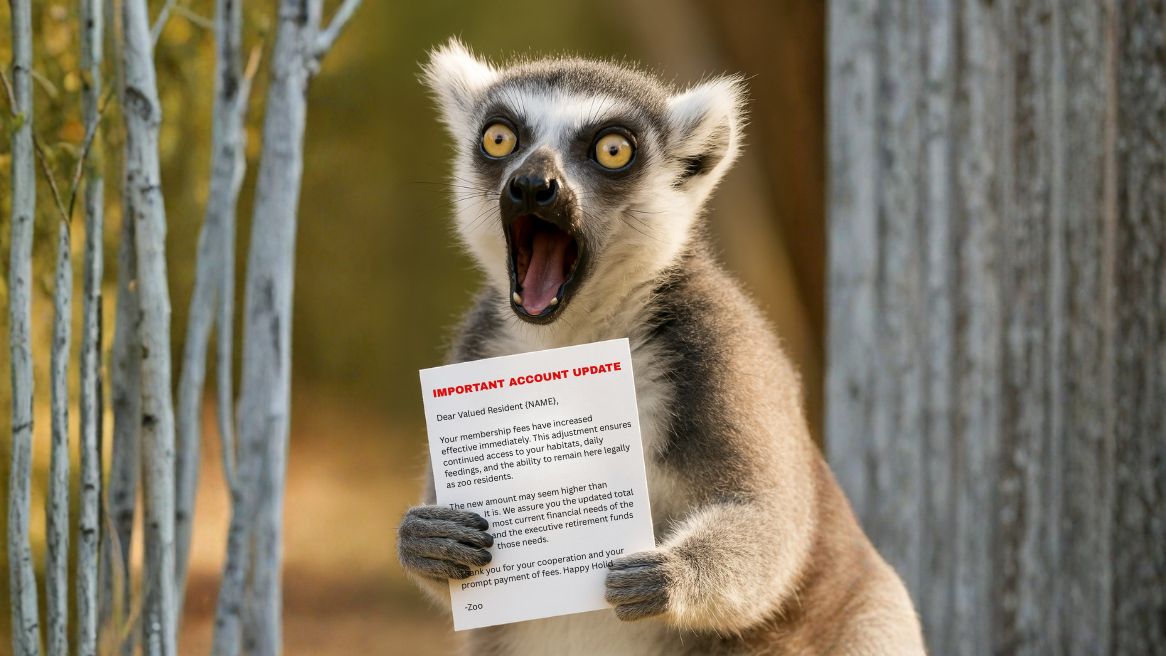 A shocked ring-tailed lemur holding a printed bill labeled Important Account Update, representing reaction to the Audubon Zoo membership price increase.