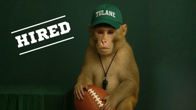 A brown macaque wearing a green Tulane hat and a whistle sits on a stool holding a football against a dark green backdrop. The word “HIRED” appears in bold white letters to the left of the monkey.