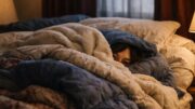 Woman bundled under layers of blankets in a New Orleans bedroom during an unusual cold front, with only her eyes visible as she refuses to leave bed.