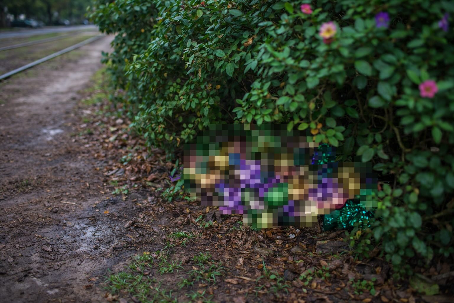 Close-up of Mardi Gras throws hidden in a bush along a muddy New Orleans neutral ground beside streetcar tracks, with the items mosaic-blurred for anonymity.