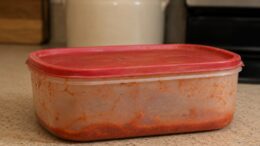 A well-used plastic food storage container with a stained red lid sits on a kitchen countertop, showing years of use transporting homemade leftovers.